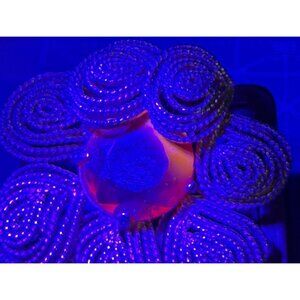 Vintage Brooch Glower Red Faceted Glass Center Stone Flower 2.25"